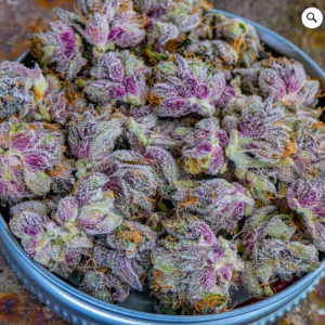 Buy Purple Kush online in inIreland