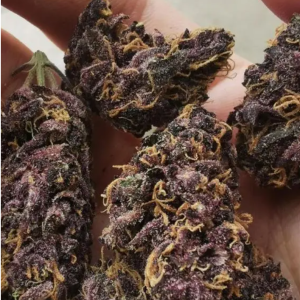 Buy Purple OG Kush In Ireland