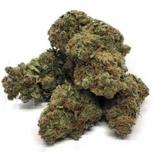 Buy Gorilla Glue #4 Online In Belfast